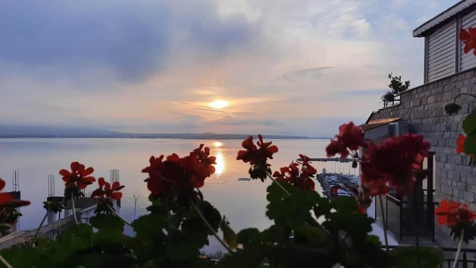 Orion Guest House Sozopol Exterior photo